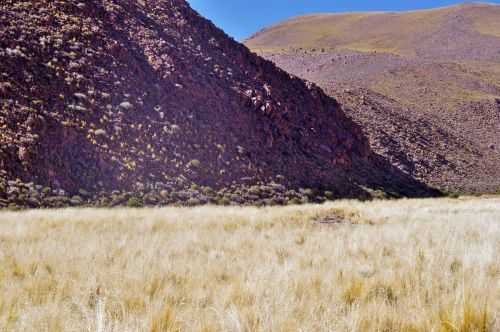 TREKKING NEL DESERTO DI ATACAMA 2015